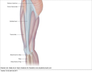 martes 12 de abril de 2011
 