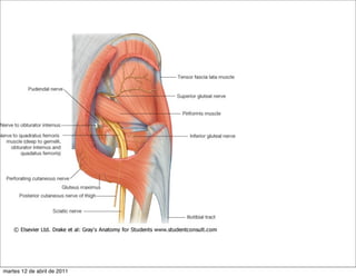 martes 12 de abril de 2011
 