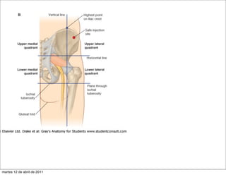 martes 12 de abril de 2011
 