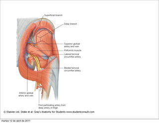 martes 12 de abril de 2011
 