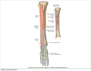 martes 12 de abril de 2011
 
