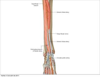 martes 12 de abril de 2011
 