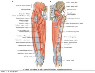 martes 12 de abril de 2011
 