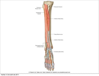 martes 12 de abril de 2011
 