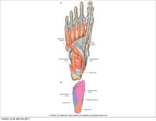 martes 12 de abril de 2011
 