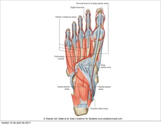 martes 12 de abril de 2011
 