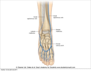 martes 12 de abril de 2011
 