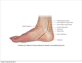 martes 12 de abril de 2011
 