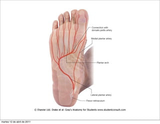 martes 12 de abril de 2011
 