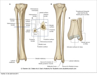 martes 12 de abril de 2011
 
