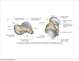 martes 12 de abril de 2011
 
