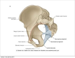 martes 12 de abril de 2011
 