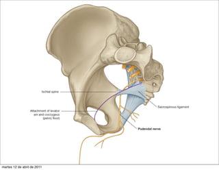 martes 12 de abril de 2011
 