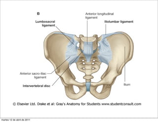 martes 12 de abril de 2011
 
