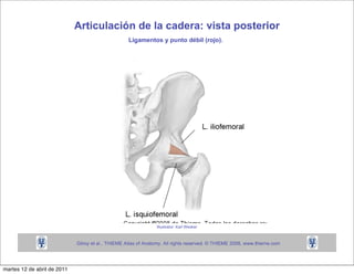 martes 12 de abril de 2011
 