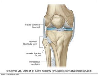 martes 12 de abril de 2011
 