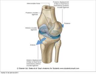 martes 12 de abril de 2011
 