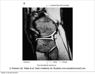martes 12 de abril de 2011
 
