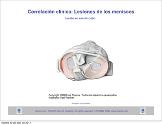 martes 12 de abril de 2011
 