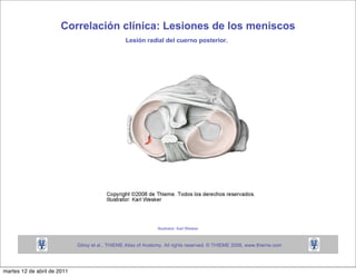 martes 12 de abril de 2011
 