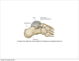 martes 12 de abril de 2011
 