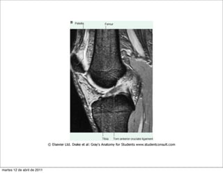 martes 12 de abril de 2011
 