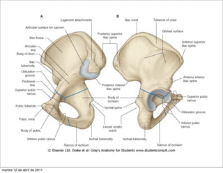 martes 12 de abril de 2011
 