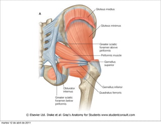martes 12 de abril de 2011
 