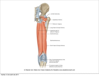 martes 12 de abril de 2011
 