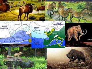 Iceberg gunea azken glaziazioan
 