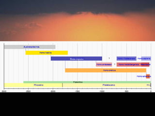 Homo ergaster
Imágen: Wikipedia
Isaac Buzo Sánchez
 