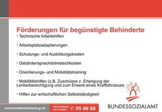 Förderungen für begünstigte Behinderte Technische Arbeitshilfen Arbeitsplatzadaptierungen Schulungs- und Ausbildungskosten Gebärdensprachdolmetschkosten Orientierungs- und Mobilitätstraining Mobilitätshilfen (z.B. Zuschüsse z. Erlangung der  Lenkerberechtigung und zum Erwerb eines Kraftfahrzeues Hilfen zur wirtschaftlichen Selbstständigkeit 