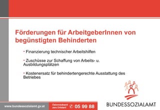 Förderungen für ArbeitgeberInnen von begünstigten Behinderten Finanzierung technischer Arbeitshilfen Zuschüsse zur Schaffung von Arbeits- u. Ausbildungsplätzen Kostenersatz für behindertengerechte Ausstattung des Betriebes    