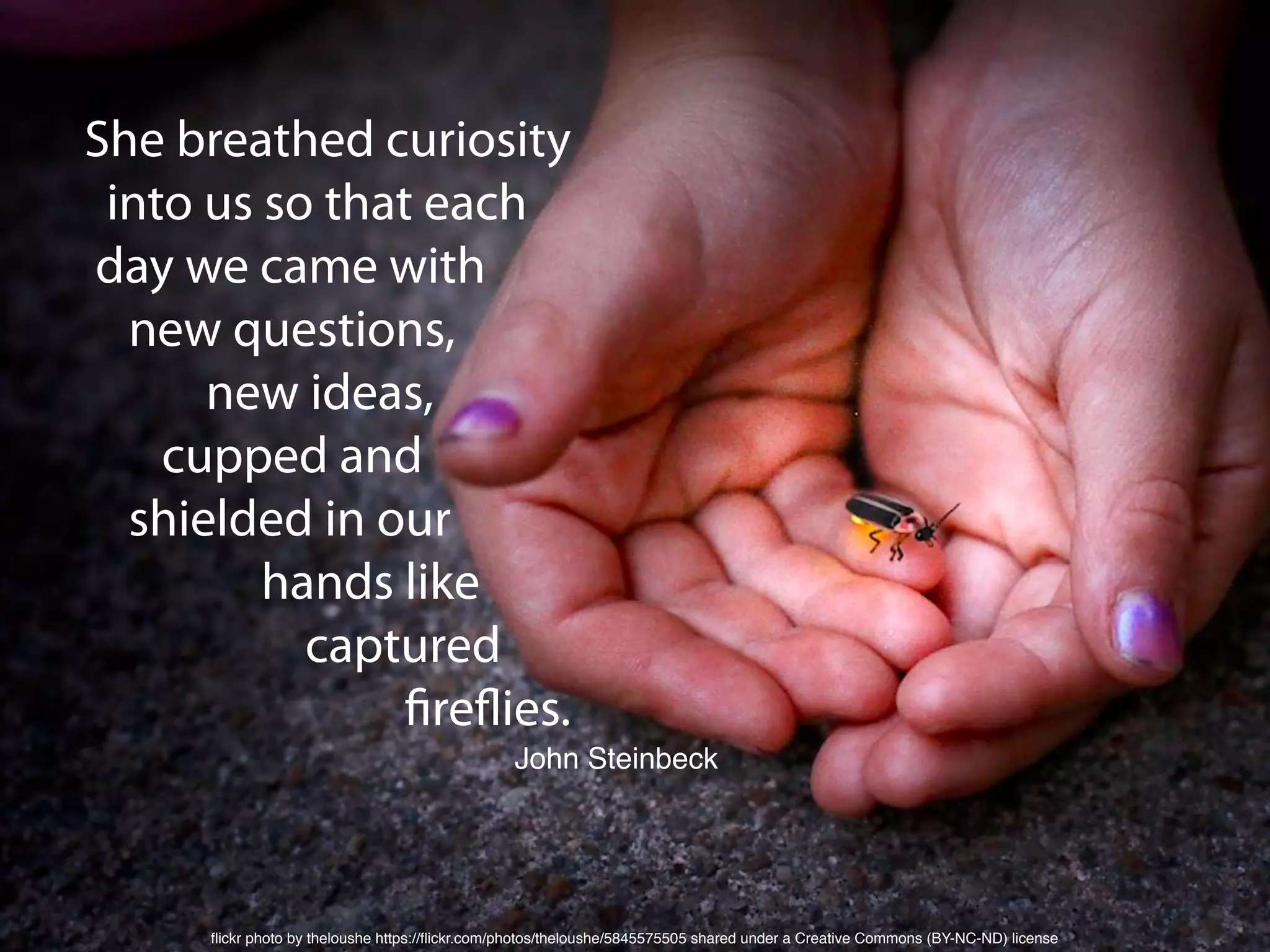 John Steinbeck
ﬂickr photo by theloushe https://ﬂickr.com/photos/theloushe/5845575505 shared under a Creative Commons (BY-NC-ND) license
She breathed curiosity
into us so that each
day we came with
new questions,
new ideas,
cupped and
shielded in our
hands like
captured
fireflies.
 