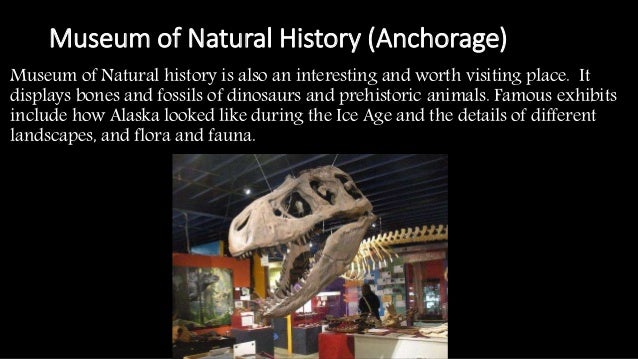 Anchorage Alaska Museum Natural History Anchorage Alaska Museum Natural History