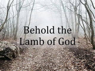 Behold the
Lamb of God
 