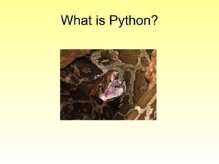 What is Python? 