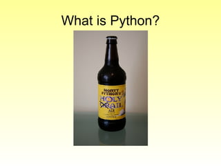 What is Python? 