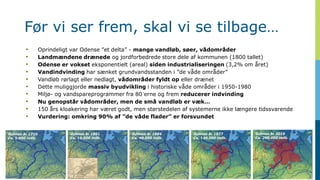 Behov-for-langsigtet-og-helhedsorienteret-vandplanlægning.pdf