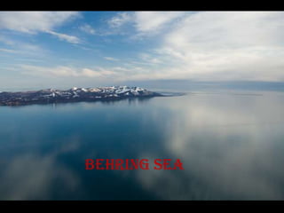 Behring sea
 