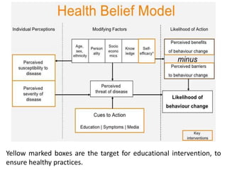 Yellow marked boxes are the target for educational intervention, to
ensure healthy practices.
 