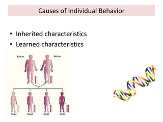 Causes of Individual Behavior
• Inherited characteristics
• Learned characteristics
 