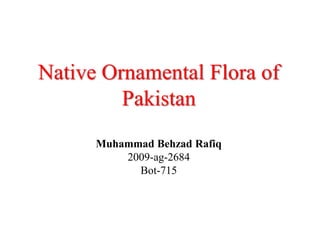 Native Ornamental Flora of
Pakistan
Muhammad Behzad Rafiq
2009-ag-2684
Bot-715
 