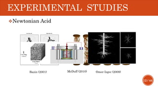 12 / 44
EXPERIMENTAL STUDIES
Newtonian Acid
Bazin (2001) Omer Izgec (2009)McDuff (2010)
 