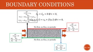 21 / 44
BOUNDARY CONDITIONS
No flow, no flux, or periodic
No flow, no flux, or periodic
𝐶𝑓 = 𝐶 𝑝 = 0 @ 𝑡 = 0,
𝜀 𝑥, 𝑦, 𝑎, 𝑙 = 𝜀0 + 𝑓̂̂(𝑎, 𝑙) @ 𝑡 = 0,
 