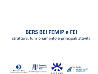 BERS BEI FEMIP e FEI struttura, funzionamento e principali attività 