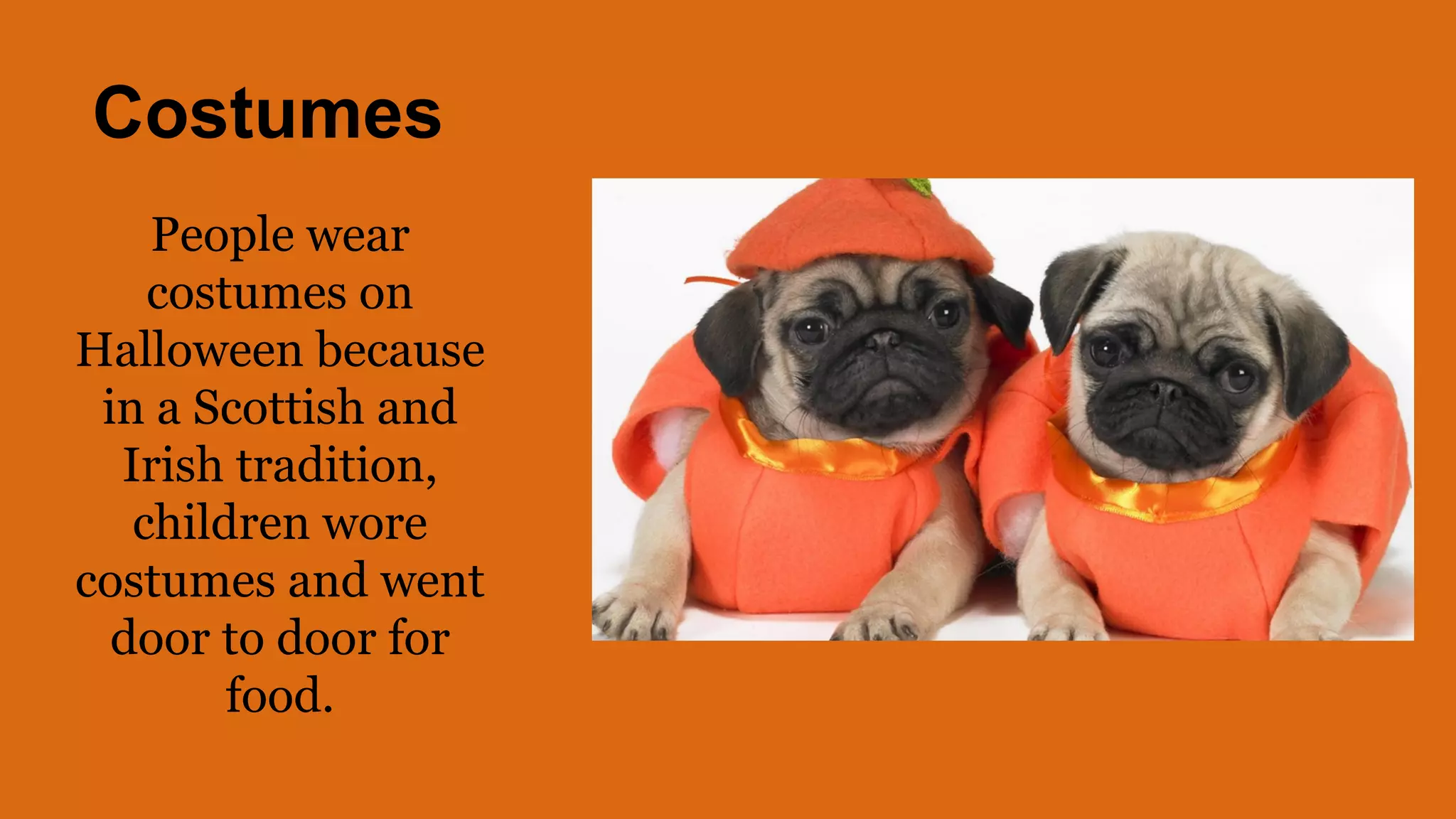 Costumes
People wear
costumes on
Halloween because
in a Scottish and
Irish tradition,
children wore
costumes and went
door to door for
food.