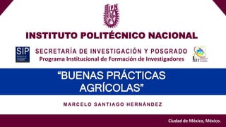 INSTITUTO POLITÉCNICO NACIONAL
Ciudad de México, México.
“BUENAS PRÁCTICAS
AGRÍCOLAS”
MA R C ELO SA N TIA GO H ER N Á N D EZ
SECRETARÍA DE INVESTIGACIÓN Y POSGRADO
Programa Institucional de Formación de Investigadores
 