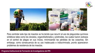 Control De Insectos Control Biologico de Insectos-Plaga. | PPTX