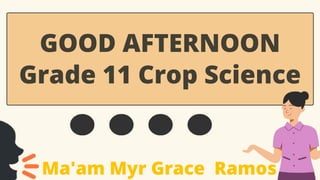 GOOD AFTERNOON
Grade 11 Crop Science
Ma'am Myr Grace Ramos
 